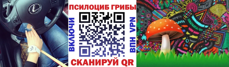 Галлюциногенные грибы мицелий Домодедово